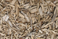 biomass boilers Woodcroft